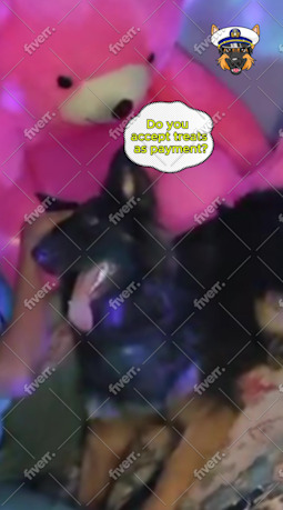 Imagem de amostra