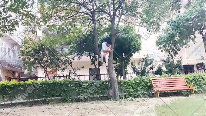 Immagine del campione di lavoro