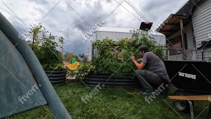 Imagen de muestra de trabajo