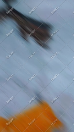 Immagine del campione di lavoro