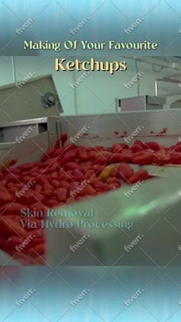 Immagine del campione di lavoro