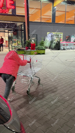 Immagine del campione di lavoro