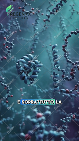 Immagine del campione di lavoro