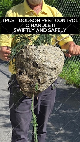 Imagen de muestra de trabajo