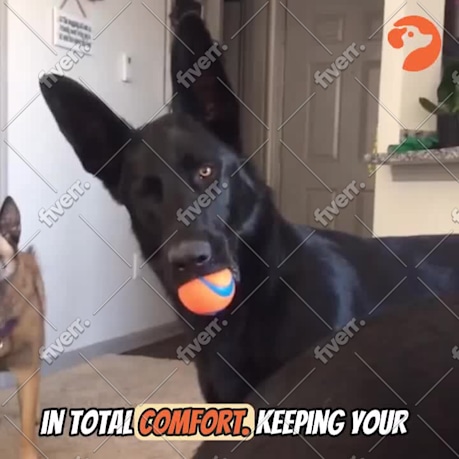 Imagem de amostra