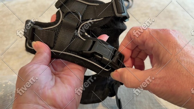 Image d'échantillon de travail