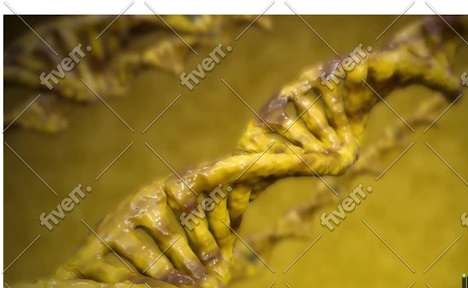 Immagine del campione di lavoro