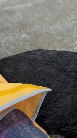 Imagen de muestra de trabajo