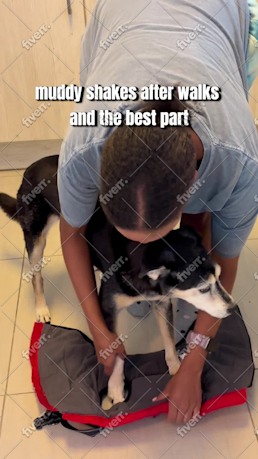 Immagine del campione di lavoro
