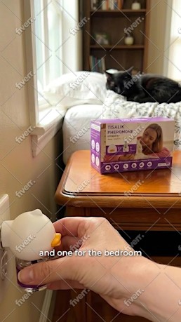 Imagem de amostra