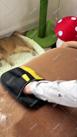 Immagine del campione di lavoro