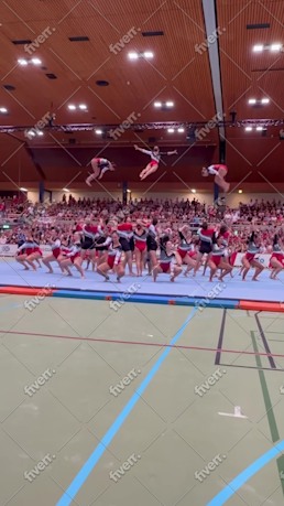 Immagine del campione di lavoro