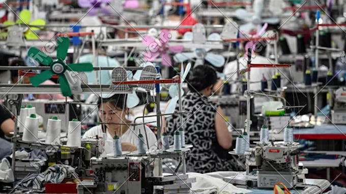 Immagine del campione di lavoro