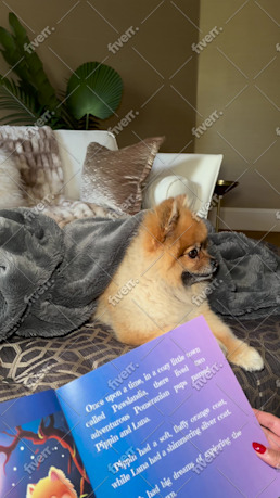 Worksample image