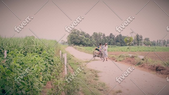 Imagem de amostra