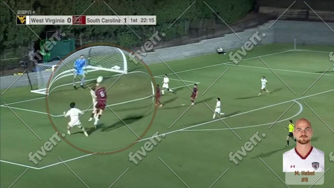 Immagine del campione di lavoro