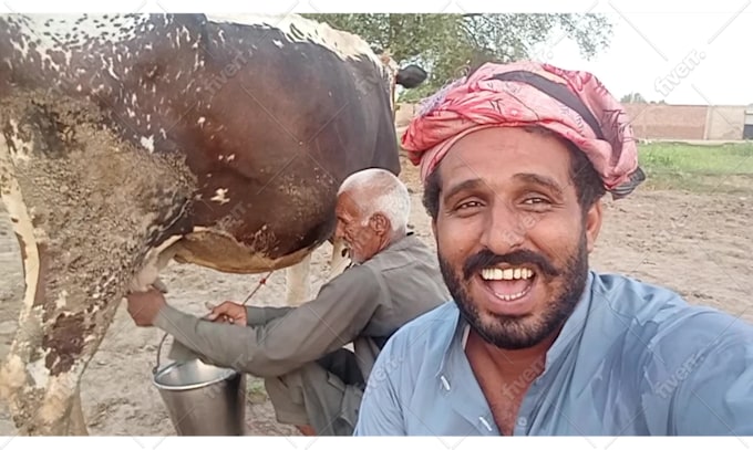 Immagine del campione di lavoro