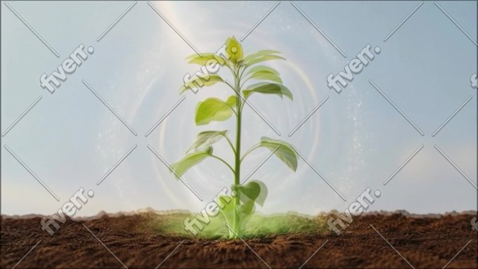 Imagem de amostra