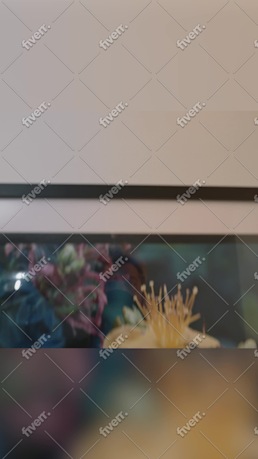 Imagem de amostra