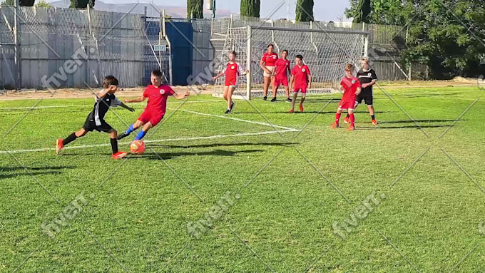 Immagine del campione di lavoro