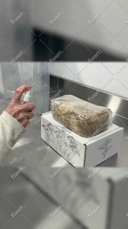 Immagine del campione di lavoro