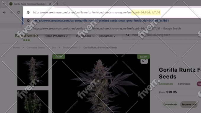 Bild des Arbeitsbeispiels