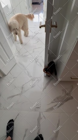 Immagine del campione di lavoro
