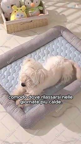 Immagine del campione di lavoro
