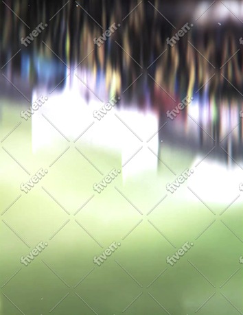Immagine del campione di lavoro