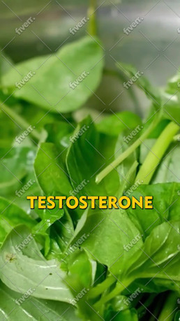 Imagem de amostra
