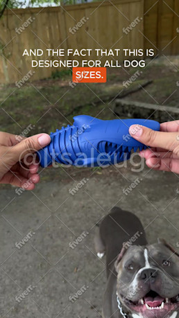 Immagine del campione di lavoro