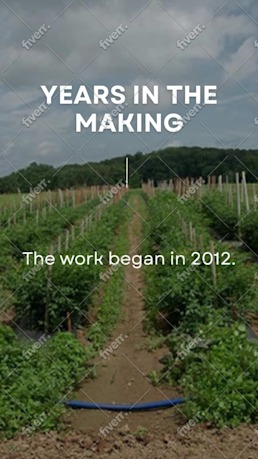 Immagine del campione di lavoro