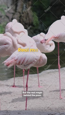 Imagem de amostra