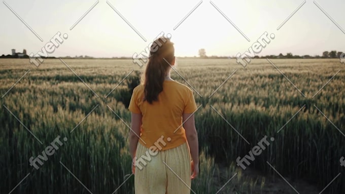 Immagine del campione di lavoro