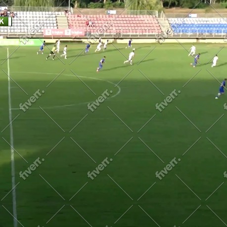 Immagine del campione di lavoro