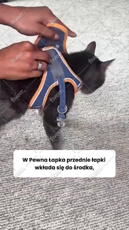 Immagine del campione di lavoro