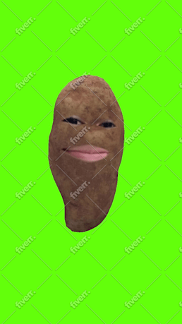 Imagem de amostra