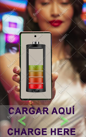 Immagine del campione di lavoro