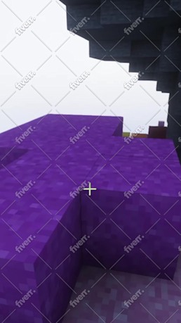 Immagine del campione di lavoro