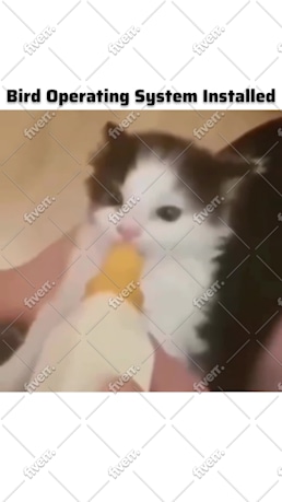 Imagem de amostra