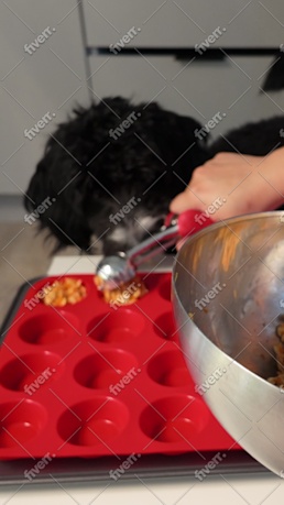 Bild des Arbeitsbeispiels