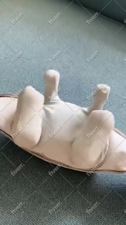 Imagen de muestra de trabajo