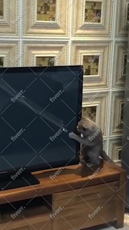 Imagen de muestra de trabajo