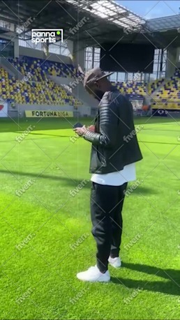 Immagine del campione di lavoro