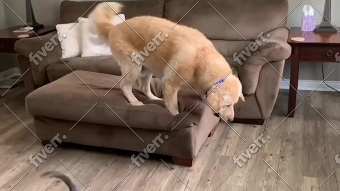 Immagine del campione di lavoro
