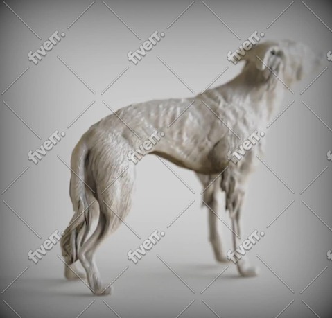 Imagem de amostra