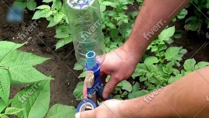 Imagem de amostra