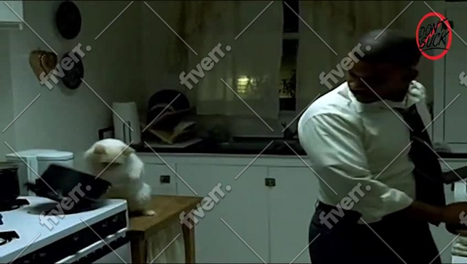 Immagine del campione di lavoro