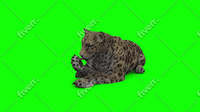 Worksample image