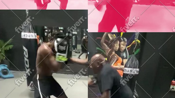 Immagine del campione di lavoro